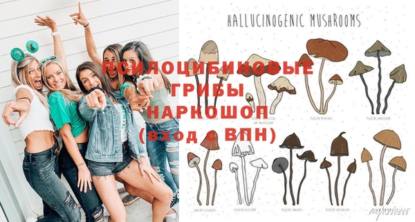 соль курить ск Бородино
