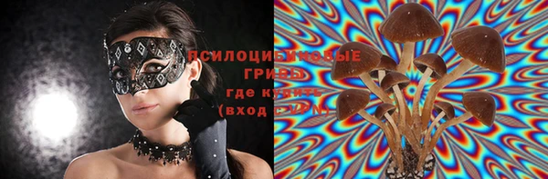дмт Бугульма