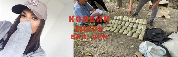 дмт Бугульма