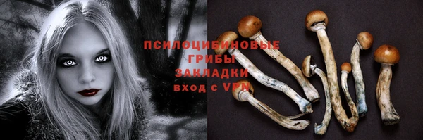 прущая мука Тихвин